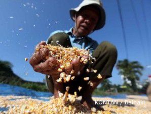 Mie dan bihun jadi produk potensial komoditi jagung