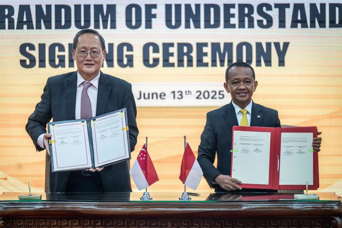 Indonesia Gandeng Singapura Kembangkan Energi Hijau, Pemerintah Diminta Waspada