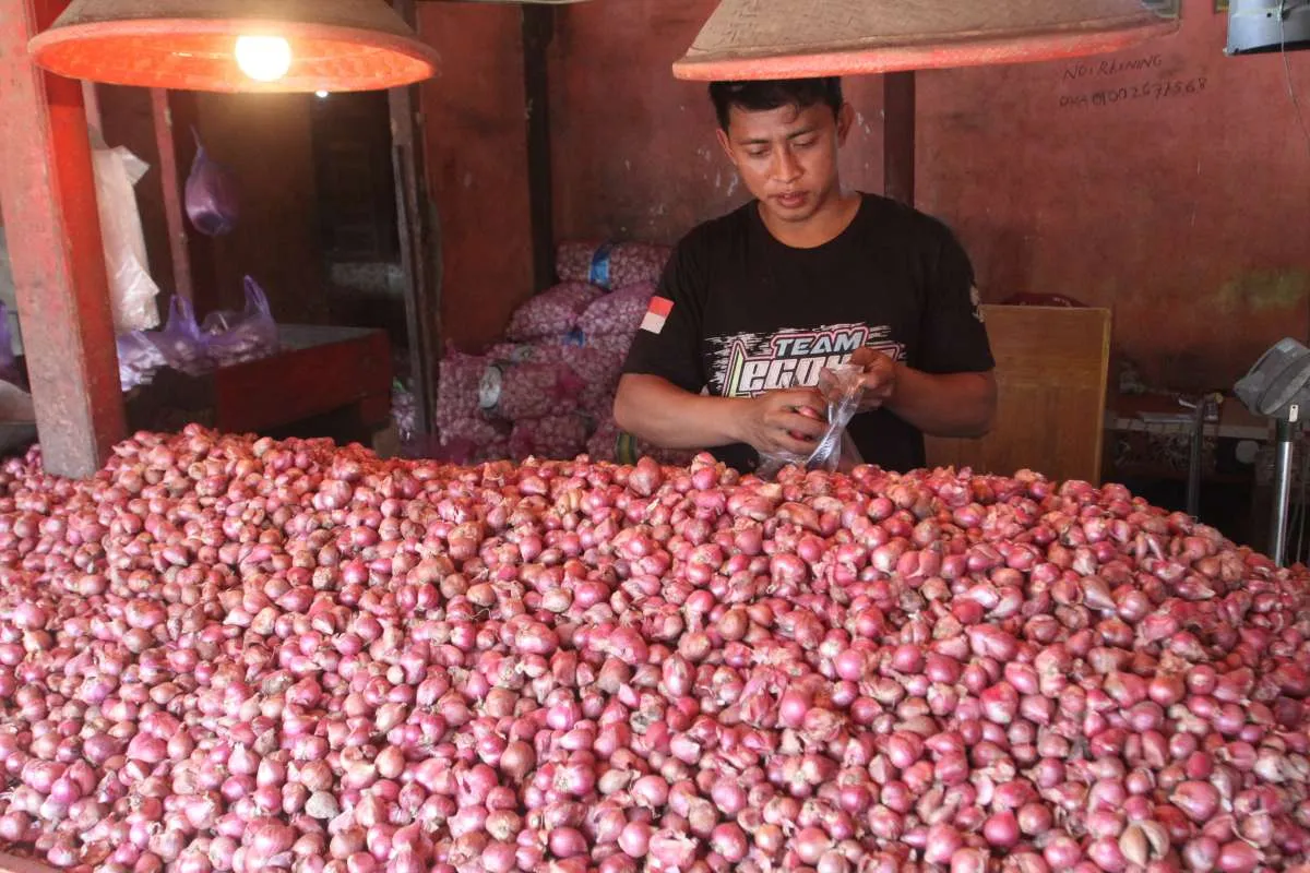 Bukan Rp 700.000/Kg, Bayaran Pengupas Bawang Merah Ini Hanya Rp 600/Kg
