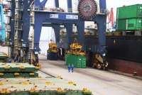 Proses Merger Pelindo, Pelni, dan ASDP Masih Tahap Awal, Fokus pada Efisiensi