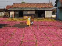 Mengenal Layanan Jasa Manajemen dan Kemitraan PNM