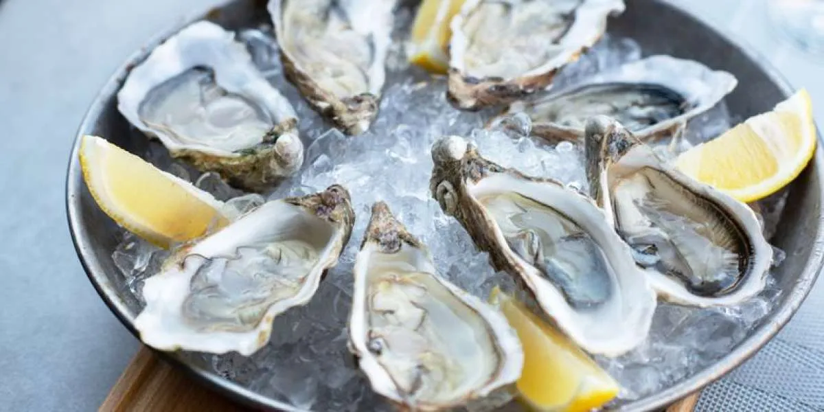 Waspada Moms! Inilah Risiko Makan Oyster Mentah bagi Kesehatan Tubuh