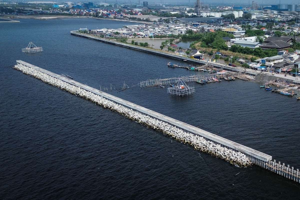 Proyek Tanggul Raksasa Mempertimbangkan Mangrove