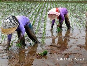 Bendungan Copong bakal mengairi 5.300 hektare sawah