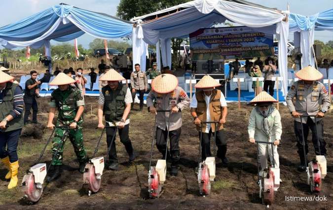 Ekspansi ke Pertanian, MEKAR Kembangkan Lahan Jagung di Padang Pariaman