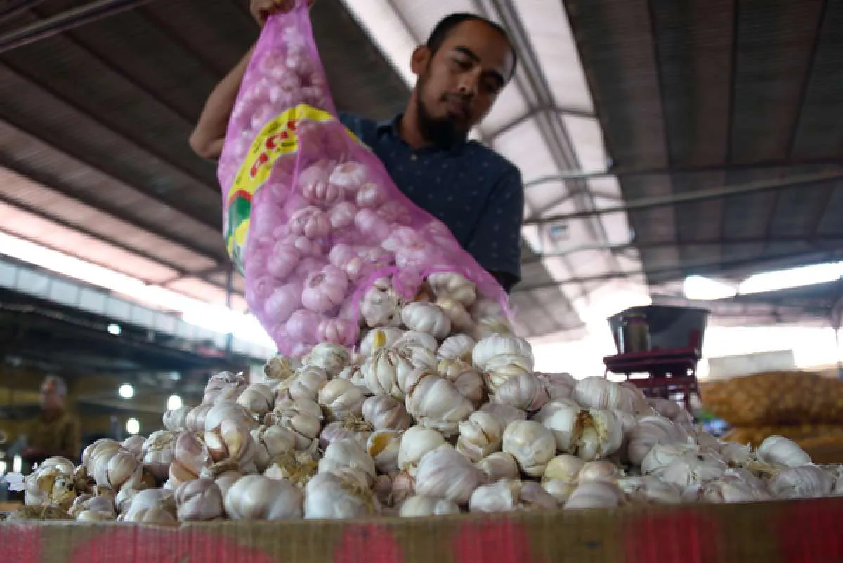 Kemendag terbitkan izin impor 62.000 ton bawang putih dari China dan India