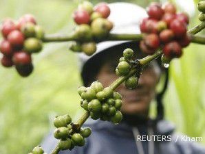 2011, Produksi kopi global makin menyusut