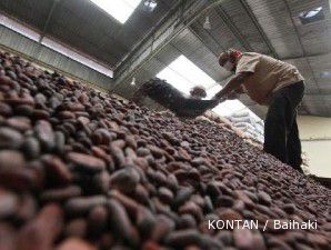 Kualitas di Pantai Gading menurun, harga kakao bisa sampai US$ 4.500 per ton