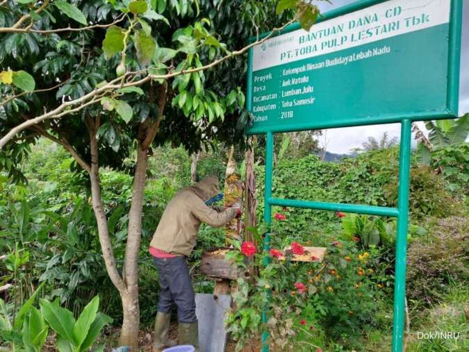 Profil Emiten INRU: Kinerja Perusahaan Pulp & Kertas hingga Isu Terbaru