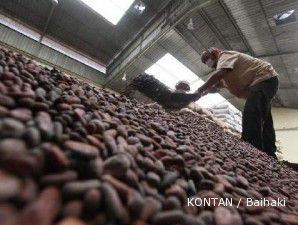 Pasokan masih melimpah, harga kakao tak akan naik lebih dari US$ 3.200 per ton