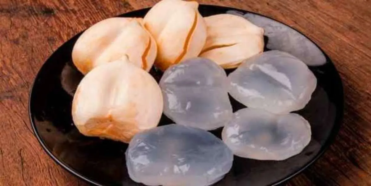 Kandungan Nutrisi dan Manfaat Buah Lontar yang Tidak Banyak Diketahui