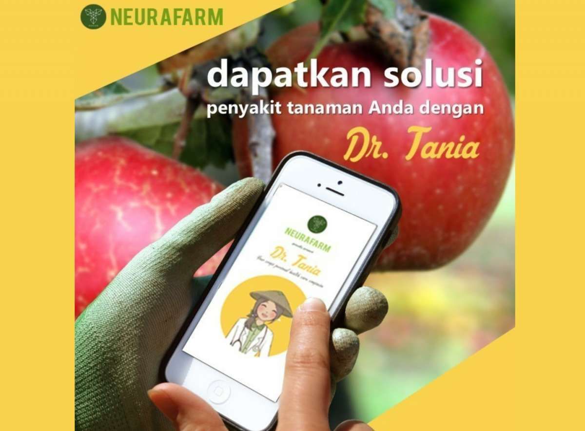 Demam Berkebun Selama Pandemi, Banyak Aplikasi Berkebun Tumbuh