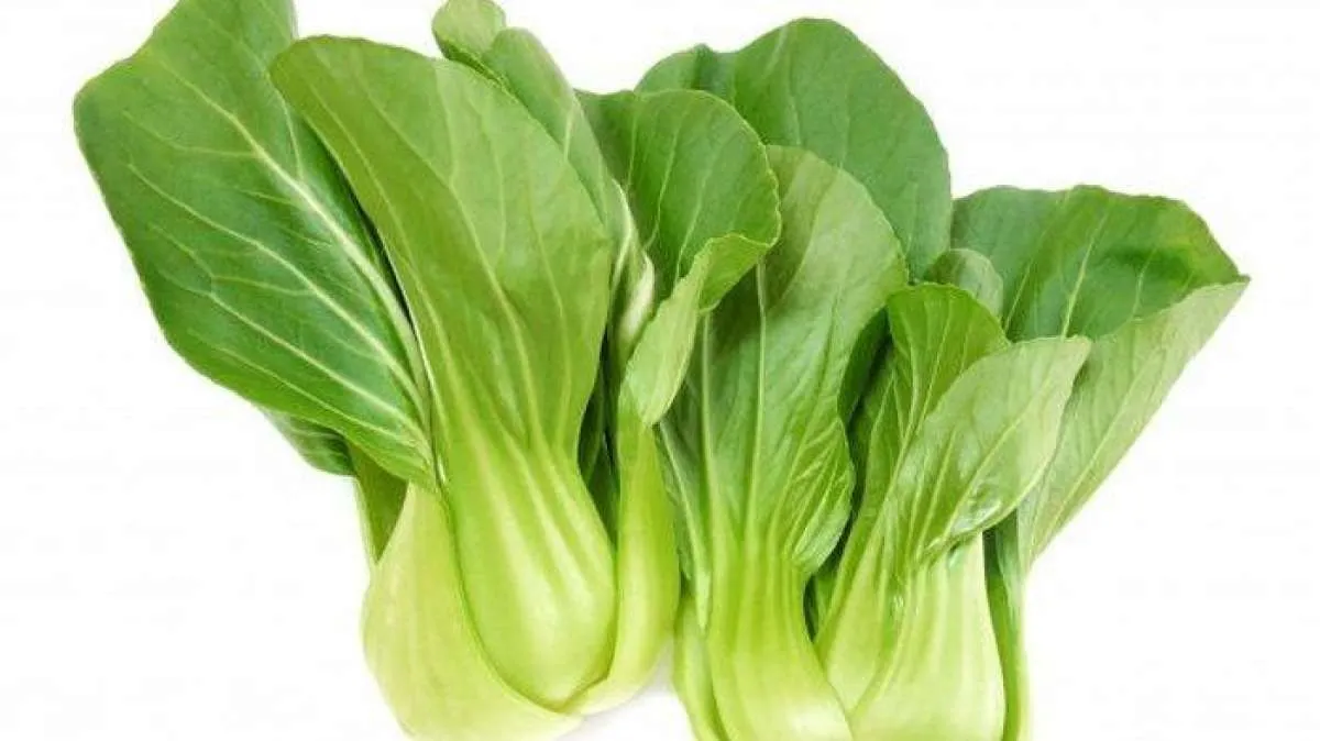 Membantu Menurunkan Tekanan Darah, Ini Manfaat Bok Choy untuk Kesehatan