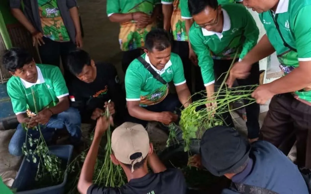 Kembangkan Pakan Organik, Kementan Dorong Petani Milenial Manfaatkan SDA Lokal