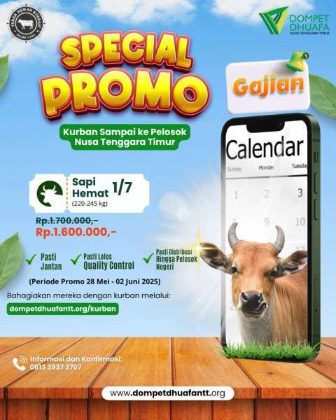 Harga Sapi Hemat di Dompet Dhuafa Nusa Tenggara Timur 2025