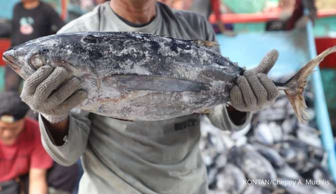 Apa Hari Besar Setiap 21 November? Ada Hari Ikan Nasional hingga Televisi Sedunia