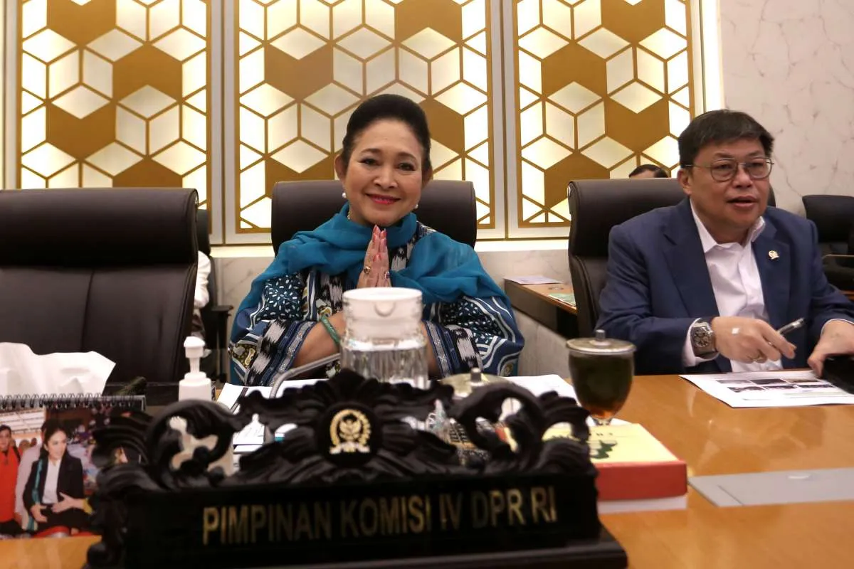 Prabowo Buka Peluang Impor Beras India, Titiek Soeharto: Setuju, Asal Tak Saat Panen