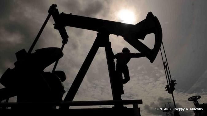 Pertamina incar lima lapangan migas di Irak