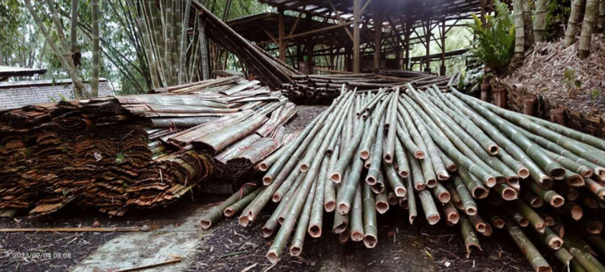 Merawat Bumi Berbuah Keluarga Sejahtera dengan Budidaya Bambu