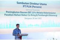 Dirjen EBTKE: Co-firing Jadi Tumpuan Utama Transisi Energi bagi Negara Agraris 