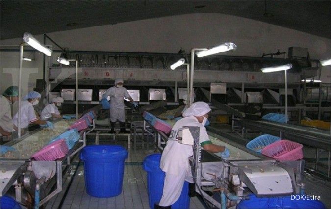 Menjajal peruntungan selagi belum menjamur