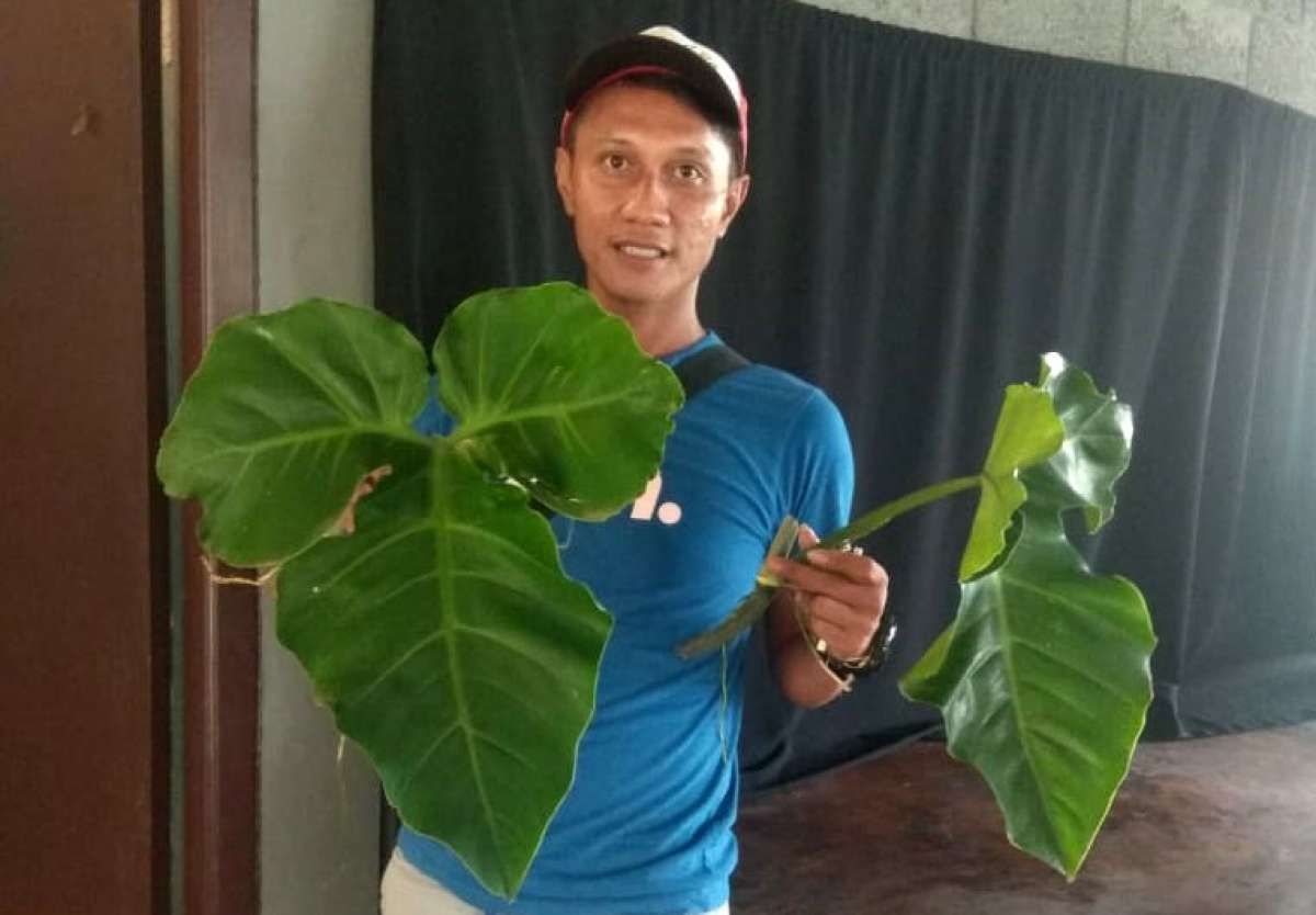 Rela Putus Kuliah demi Menekuni Bisnis Tanaman Hias