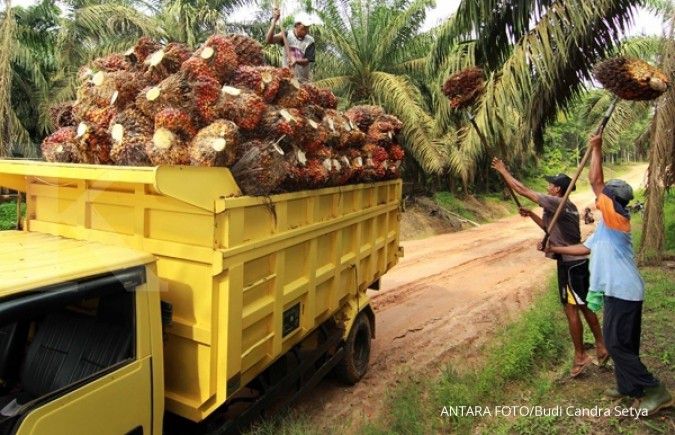Bakrie Sumatera Plantations catat penjualan Rp 2 T