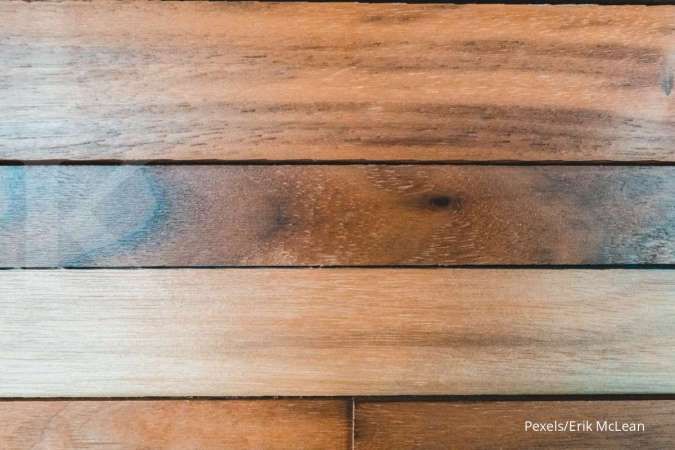 Kuat dan Berkualitas Tinggi, Ini Serba-Serbi Kayu Ulin yang Wajib Diketahui