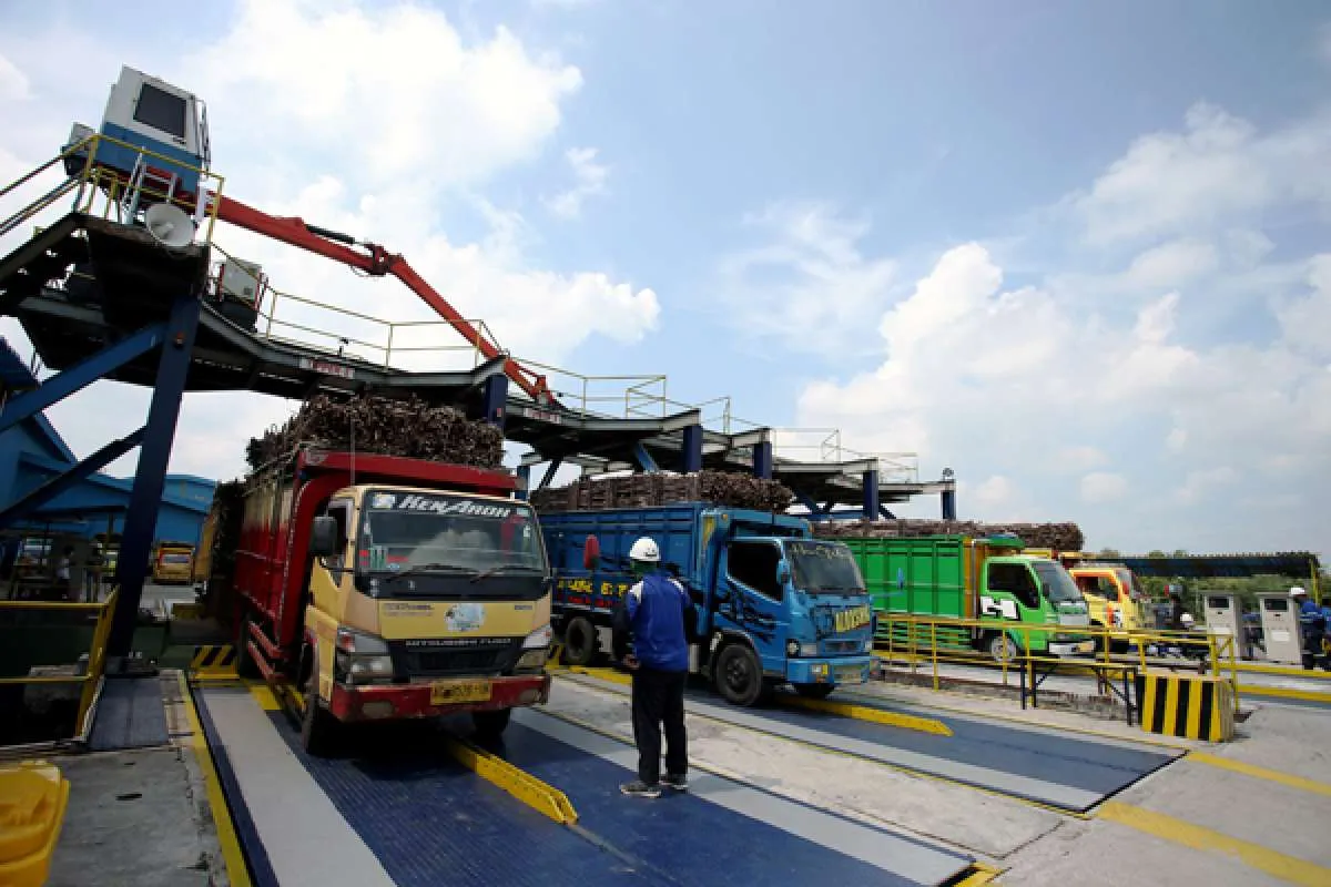 Cuaca Hujan Petir Mengguyur Jawa Timur, Termasuk Madiun Raya, Surabaya, dan Blitar