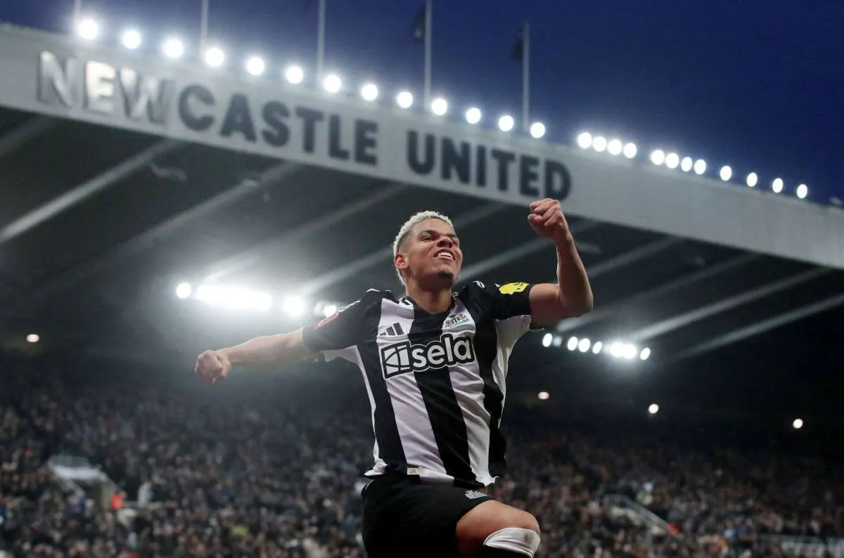 Link Live Streaming Newcastle vs Wolves di Liga Inggris Pekan 21