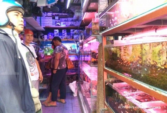 Melongok pasar perburuan penggemar binatang di Jakarta (3)