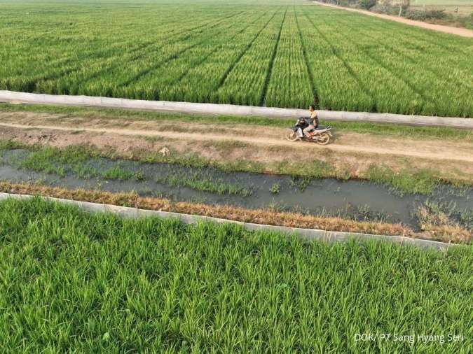 Sang Hyang Seri Pasok Benih Padi 424 Ton ke 16.964 Hektare Sawah di 8 Provinsi