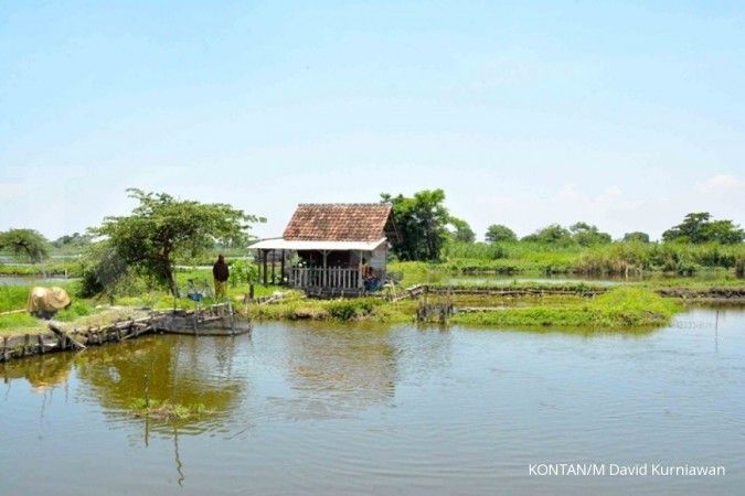 Pertambakan, tambak ikan, sentra usaha ikan mujair asap di Sidoarjo