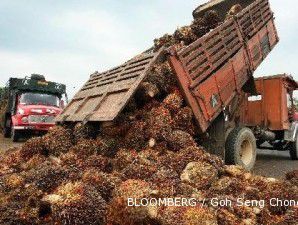 Kecemasan akan suplai kedelai membuat harga CPO menanjak