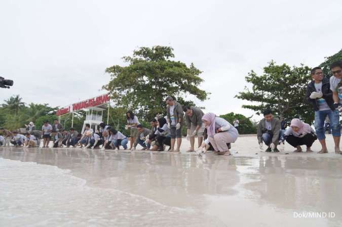 Grup MIND ID Lepas Tukik Penyu Sisik di Belitung, Dukung Kelestarian Ekosistem Laut