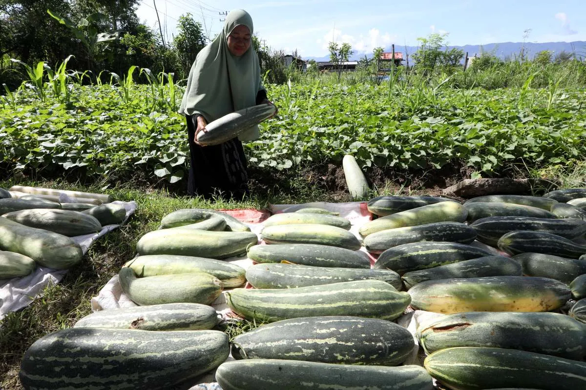 Warga Aceh Wajib Cek Prediksi Cuaca Selasa (3/3): Hujan Ringan di 3 Wilayah Ini