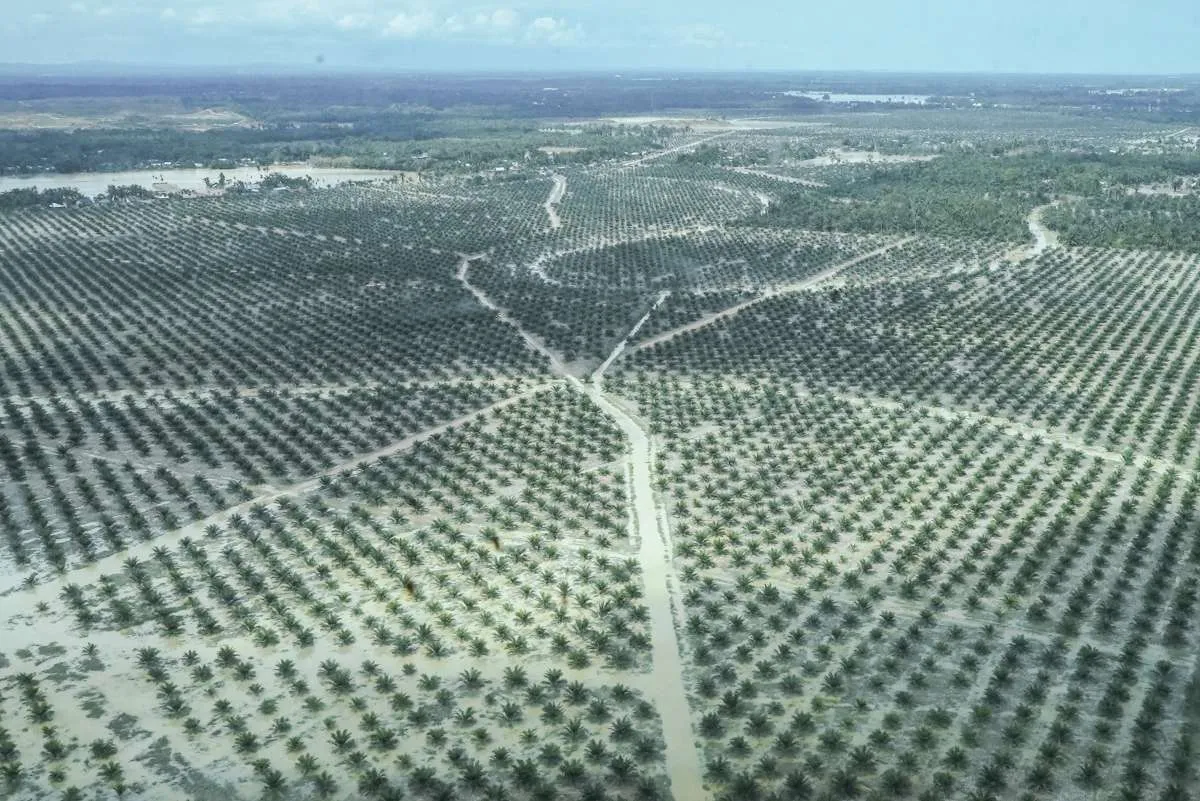 Kemenkes Pastikan Pemulihan RSUD Aceh dan Sumatra Pasca Bencana Terus Dikebut