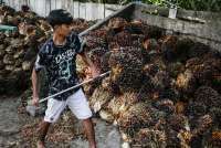 Tak Mau Kalah dari Malaysia, Indonesia Tuntut Tarif 0% dari Amerika