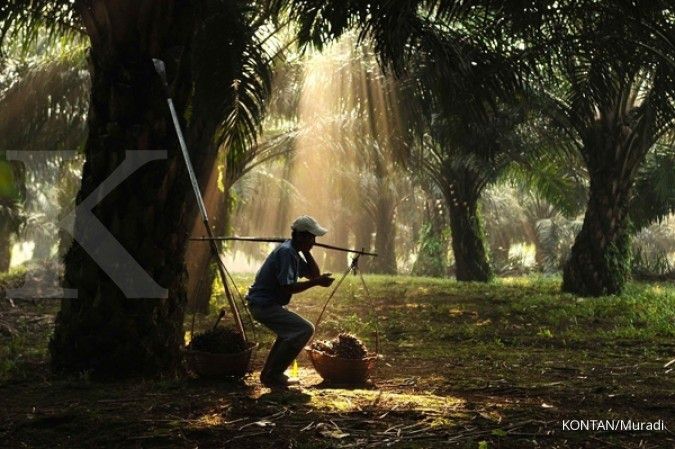Kebun rakyat Seruyan, Kalteng didorong raih STDB