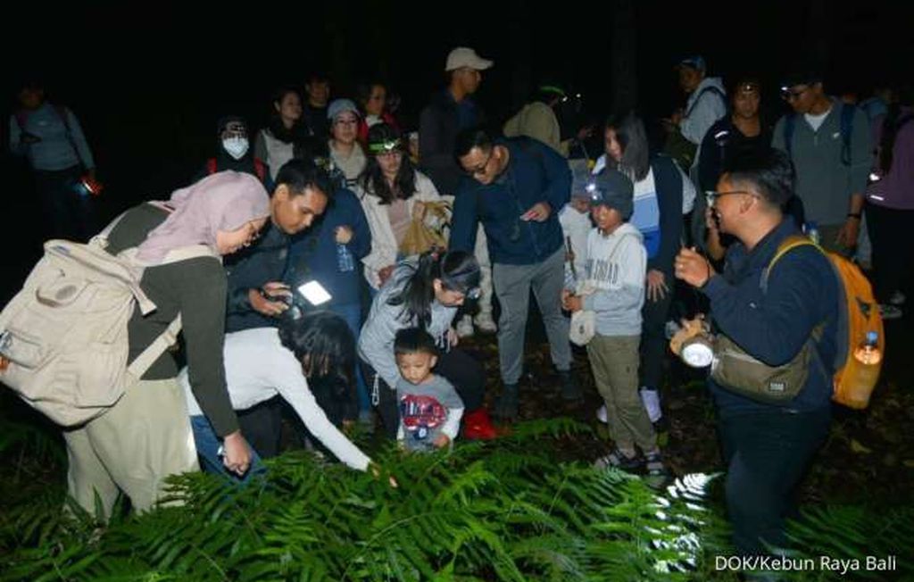  Eksplorasi Kunang-kunang Ungkap Kesehatan Ekosistem  Kebun Raya Bali