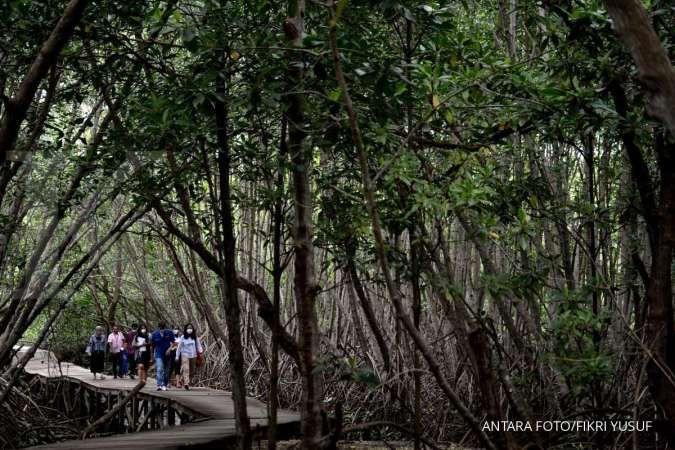 Percepat rehabilitasi mangrove, BRGM gelar sekolah lapang di Bangka Belitung