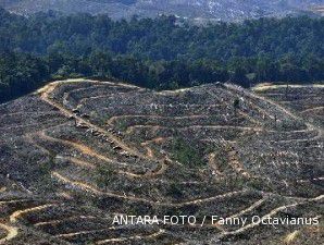 Moratorium hutan tak menganggu investasi sektor kehutanan