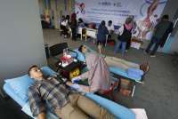 30 Contoh Ucapan Hari PMI 3 September 2026: Dukung Pengabdian Relawan