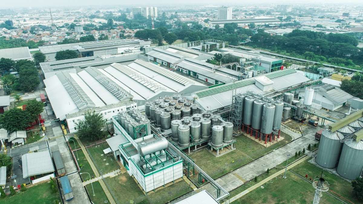 Multi Bintang Indonesia (MLBI) Menebar Dividen Interim Rp 400,3 Miliar