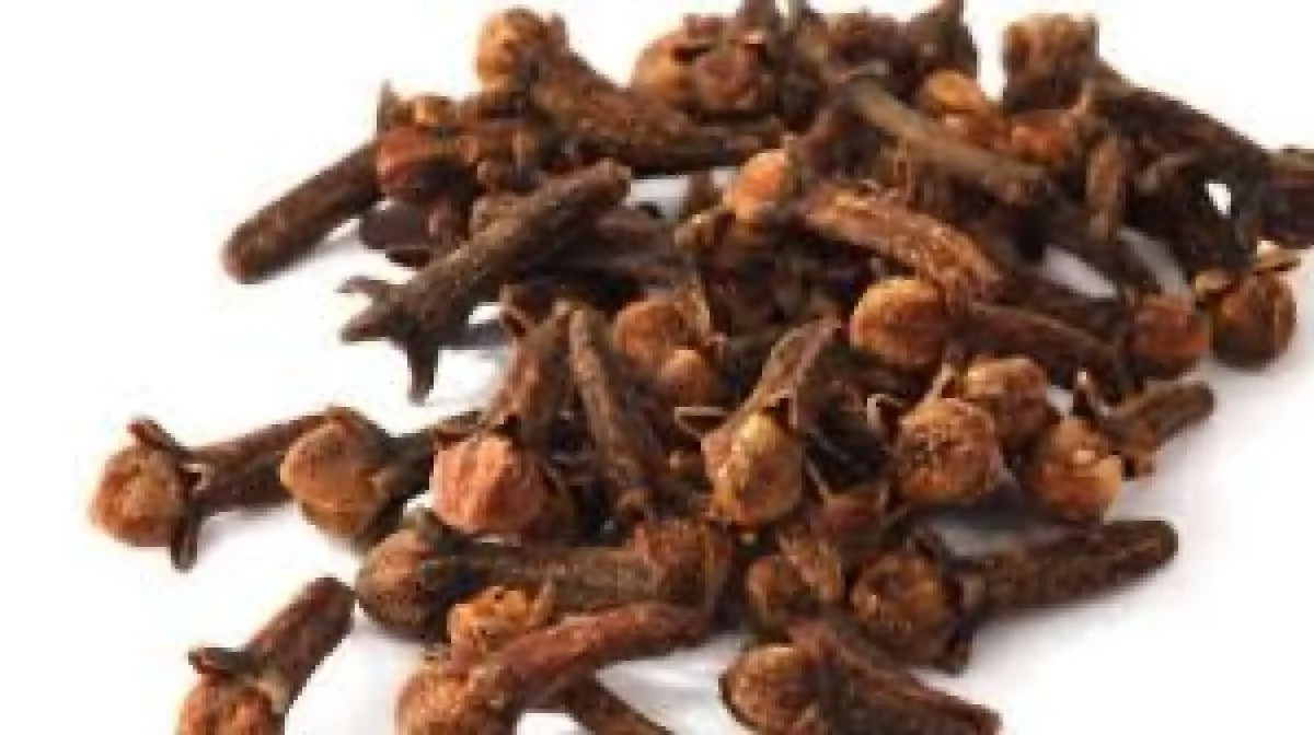 Cengkeh bermanfaat sebagai obat herbal untuk asam urat tinggi
