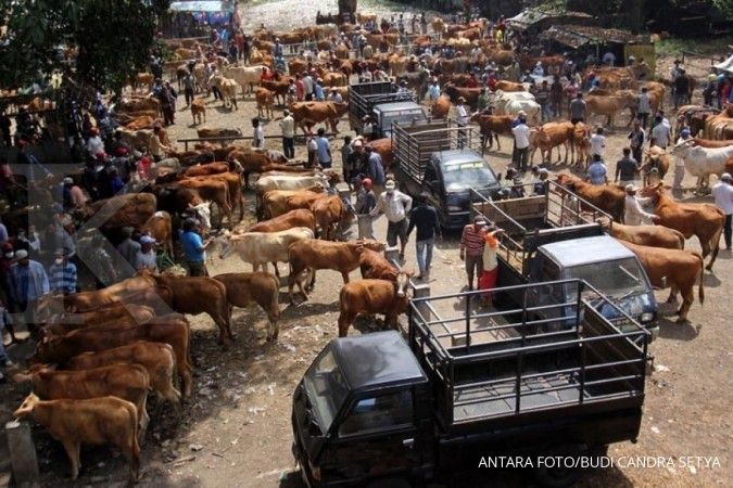 Lampung Tengah berharap 60.000 sapi bisa bunting