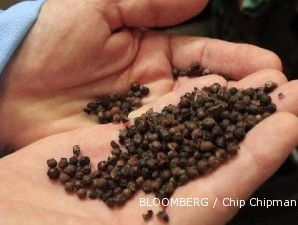 Cuaca masih tak menentu, target produksi lada tahun ini sulit tercapai