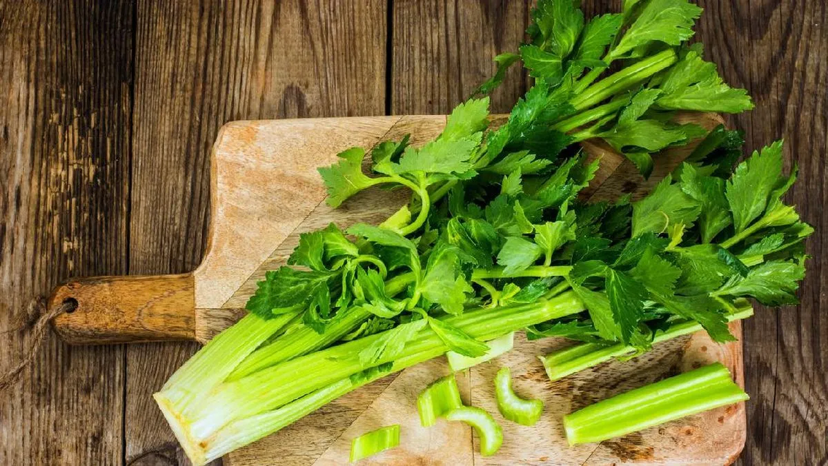 7 Manfaat Makan Seledri secara Rutin bagi Kesehatan Tubuh
