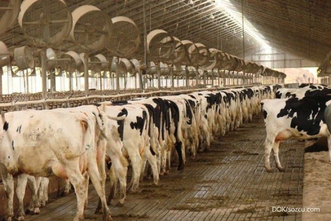 Kemtan janji genjot produksi susu
