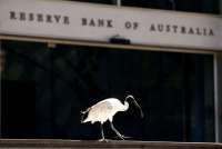 Pengangguran Australia Turun ke 4,4%, Harapan Pemangkasan Suku Bunga Kian Menipis